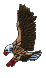 Eagle shaped embroidered patch applique